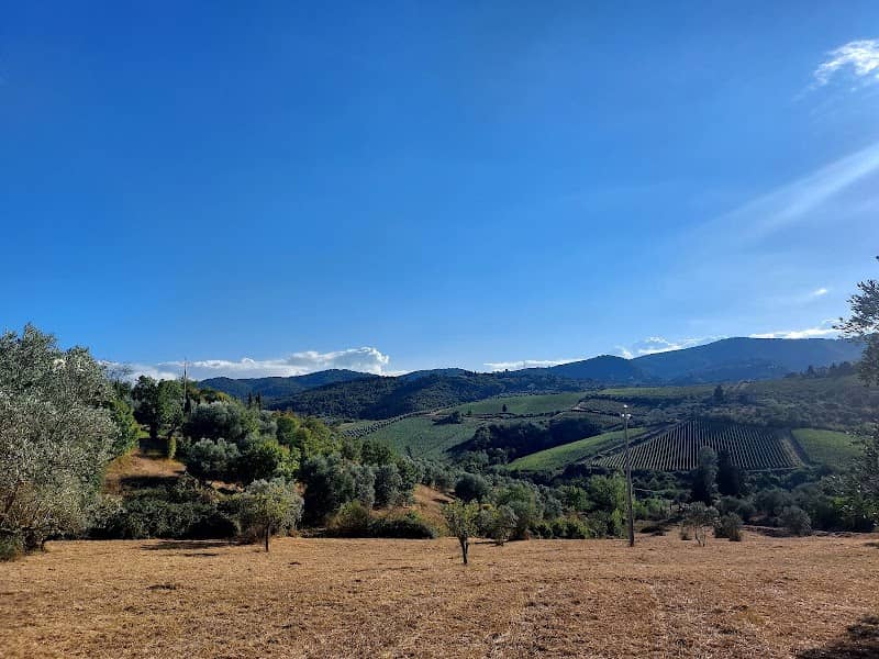 Punto panoramico Verdi Colline - Image 3