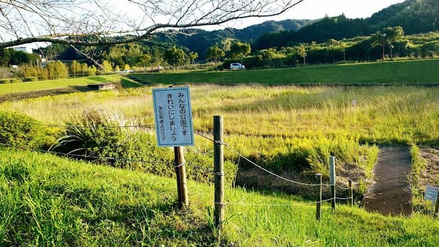 ビオトープ - Image 1