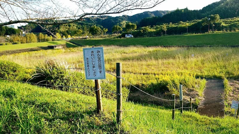 ビオトープ - Image 1