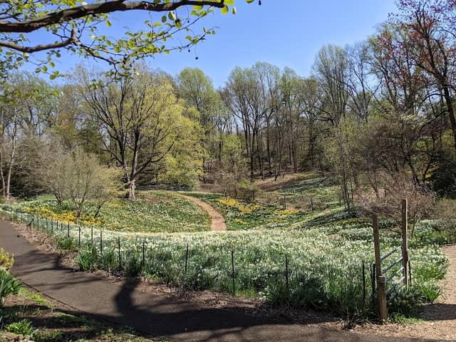 Reeves-Reed Arboretum - Image 2