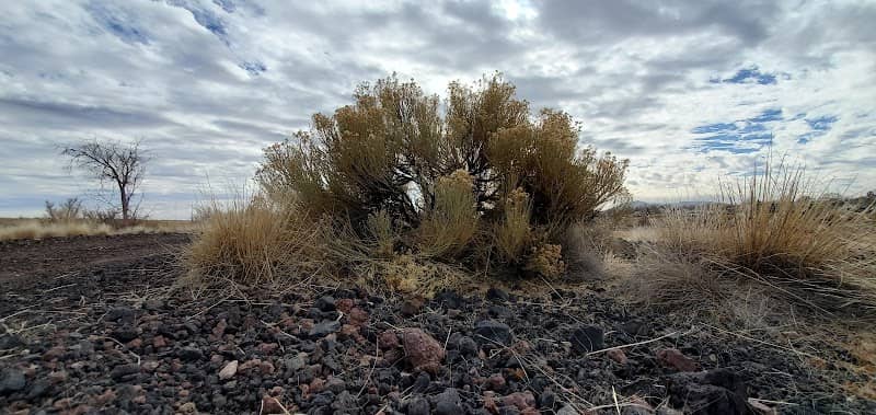 Peavine Trail - Image 2