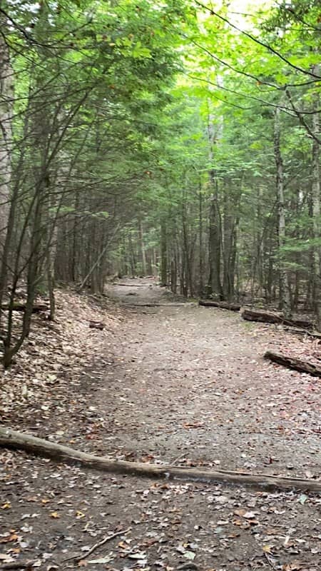 Vaughan Woods - Image 2