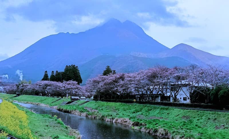 湯布院デルタ - Image 1