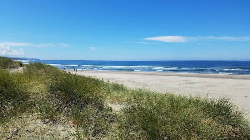 South Jetty (South Beach State Park) - Image 1