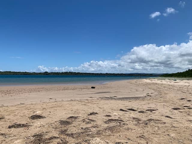 Kingsford Smith Park - Image 1