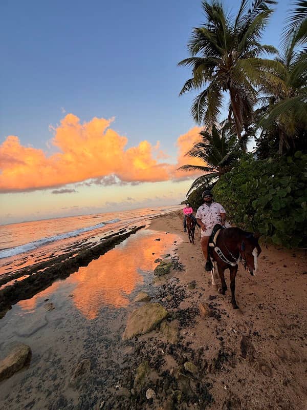 Playa La Chata - Image 1