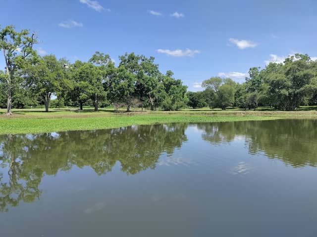 South Bay Park - Image 2