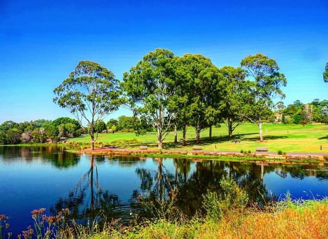 The Australian Botanic Garden Playground - Image 2