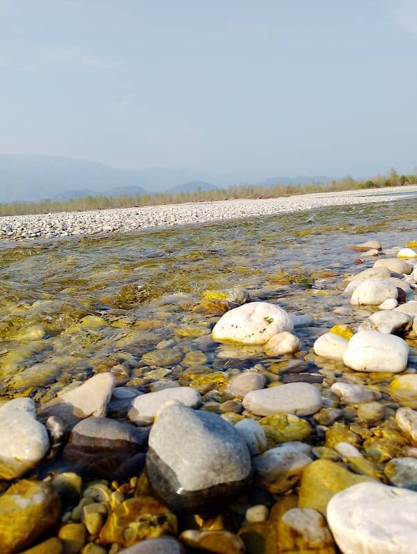 Spiagge del Piave - Image 1