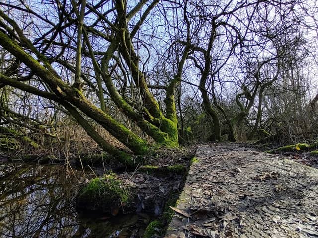 Appeldijk Heukelum - Image 1