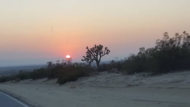 Big Rock Wash Wildlife Sanctuary - Image 4