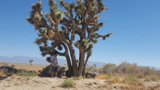 Big Rock Wash Wildlife Sanctuary - Image 5