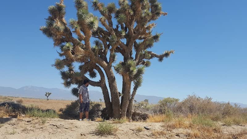 Big Rock Wash Wildlife Sanctuary - Image 4