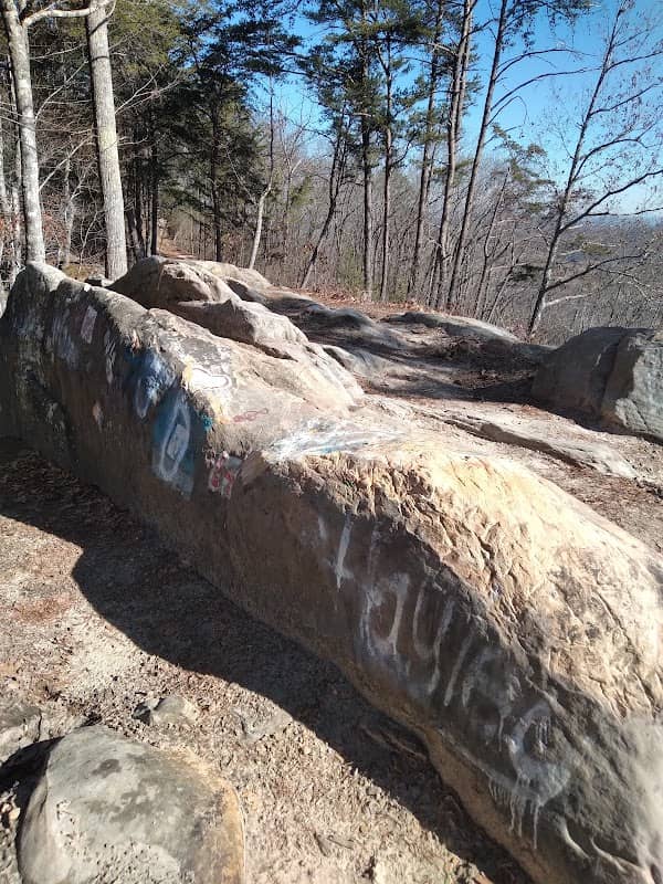 Walden Ridge - Image 2