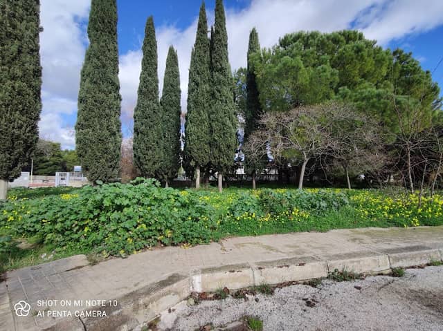 Parco del Liceo - Image 1