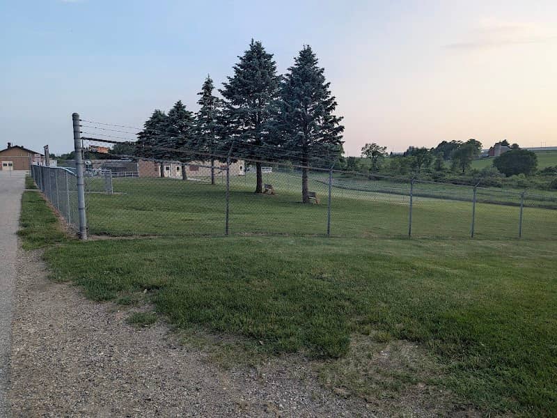 Dog park - Image 2