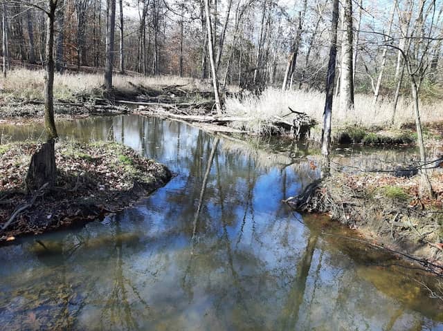 Sawmill Run & Mill Creek junction - Image 1