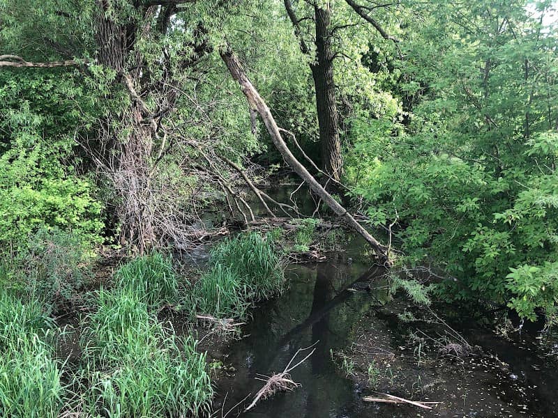 Six Mile Creek Neighborhood Conservancy - Image 2