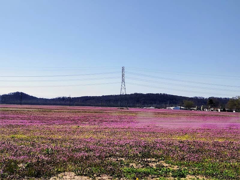 Centerville - Image 1