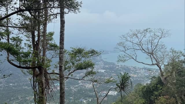 The Fog View Point - Image 3