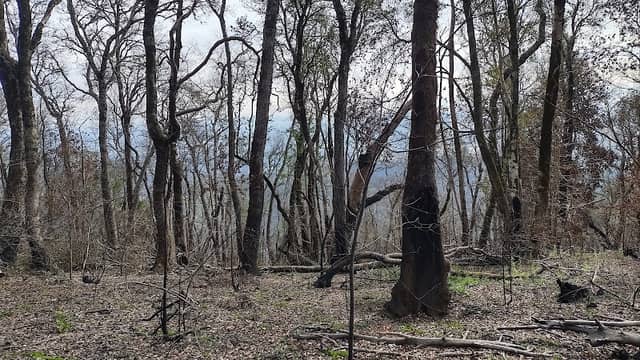 Cerro Cayumanque - Image 2