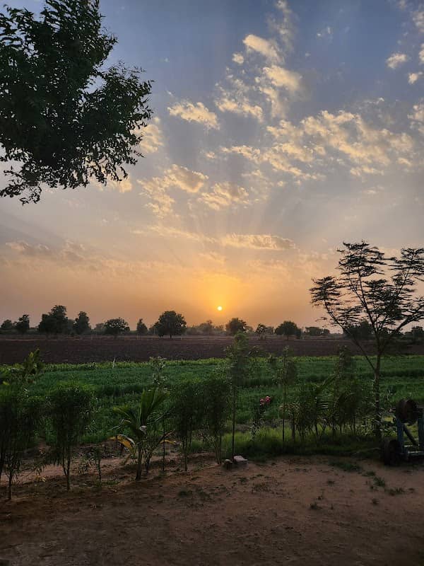 Meet agriculture Farm - Image 1