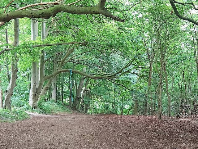 Sharpenhoe Clappers - Image 3