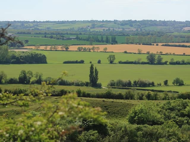 Sharpenhoe Clappers - Image 1