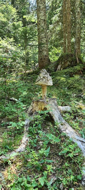 Combe grasse à la Givrine - Image 1