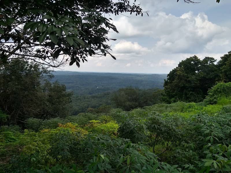 Kalamukalam View Point - Image 1