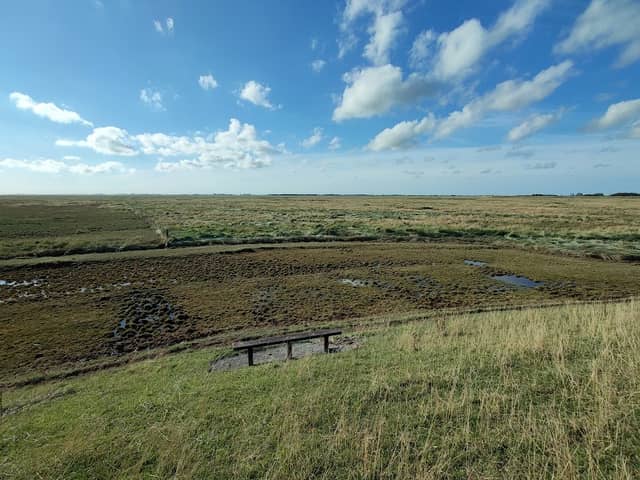 Raptor Viewpoint - Image 1