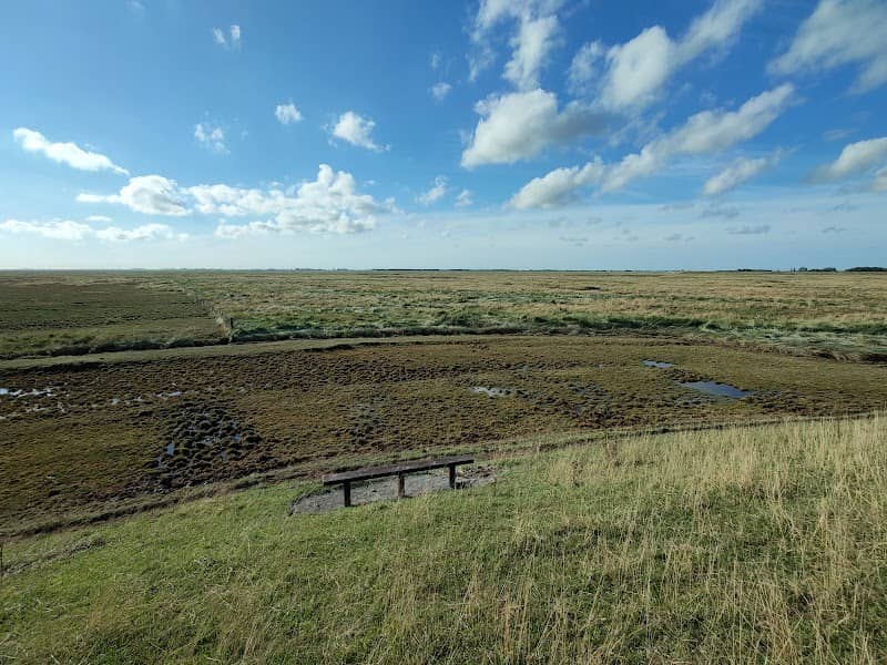 Raptor Viewpoint - Image 1