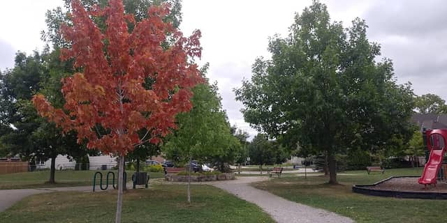 Johnson Park - Image 2