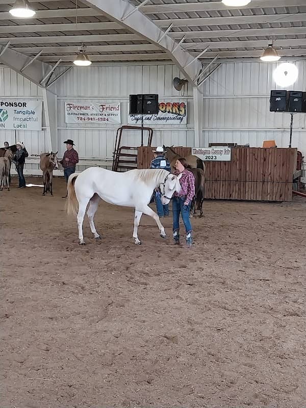 Washington County fairgrounds - Image 2