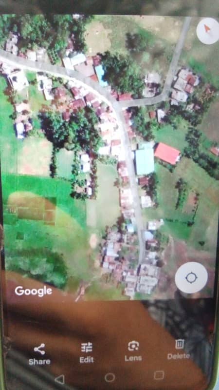 Guforks garden - Image 2