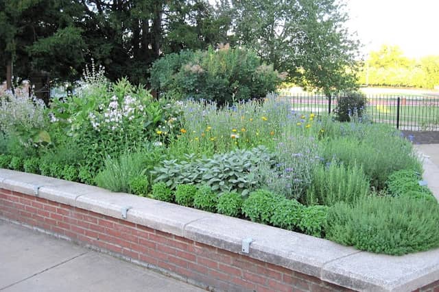 Shakespeare Garden - Image 2
