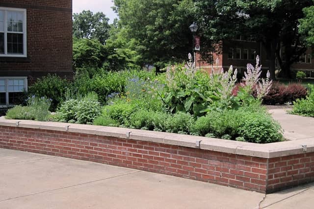 Shakespeare Garden - Image 1