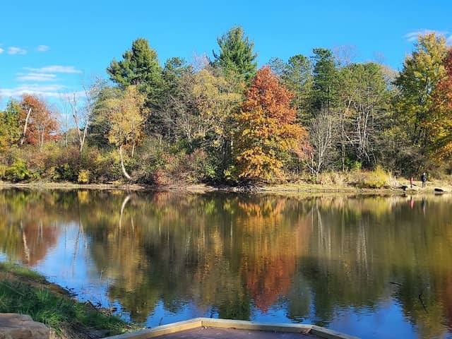 Rivendell Nature Preserve - Image 1