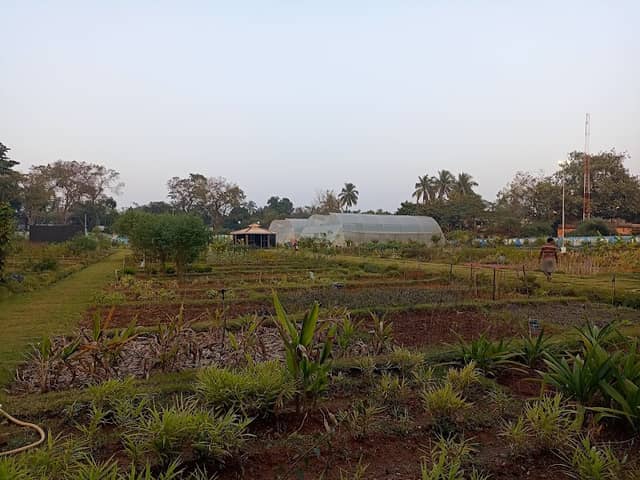 AMRITKALPA - Image 1