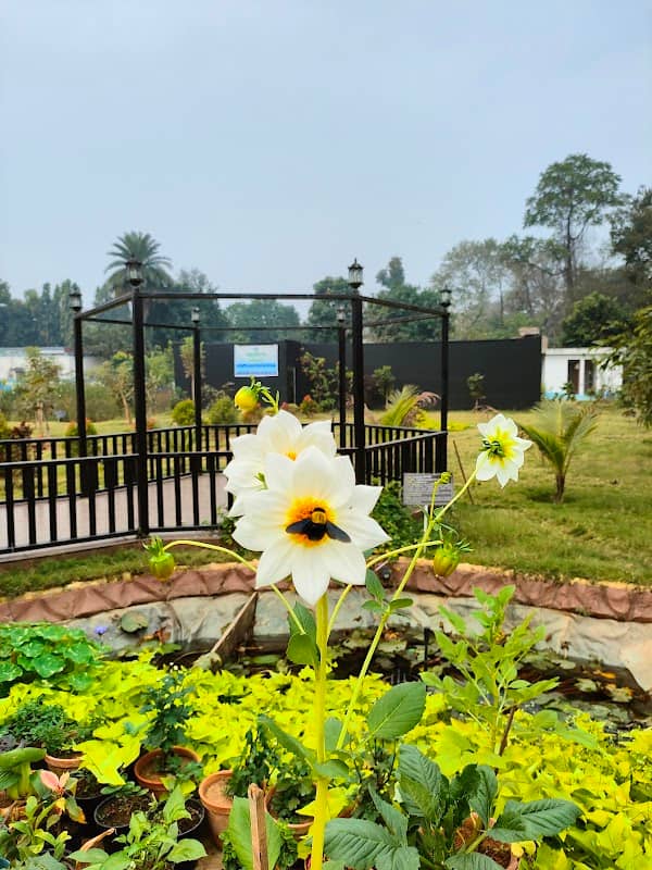 AMRITKALPA - Image 2