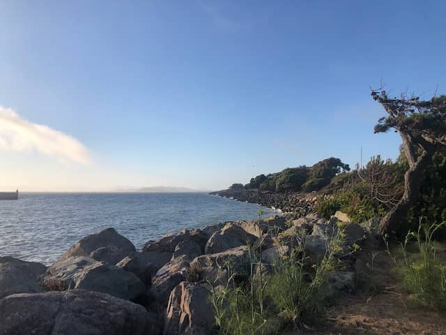 Scenic View - Image 2