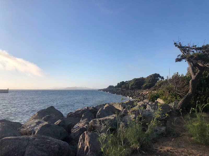 Scenic View - Image 2