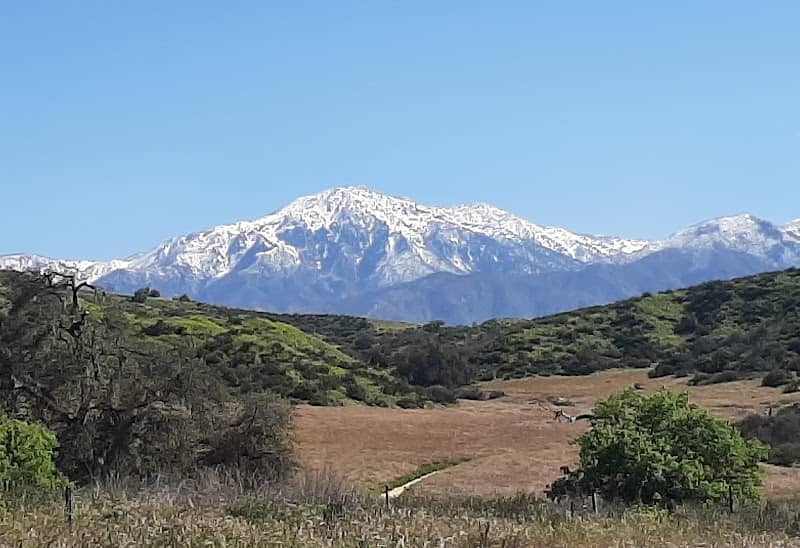 Herngt ‘Aki’ Preserve - Image 2