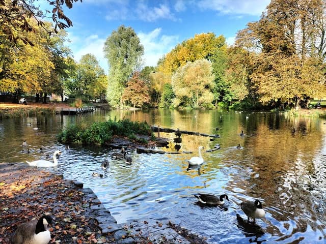 Vernon Park - Image 1