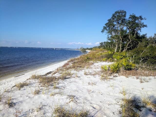 Deadman's Island - Image 1