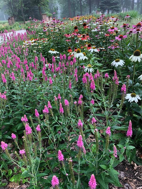 Sensory Garden - Image 1