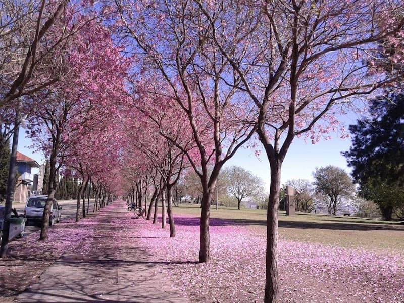 Sunchales Park - Image 1