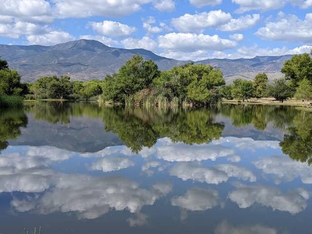 Dead Horse Ranch State Park - Image 2
