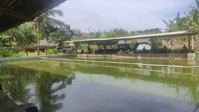 Pemancingan palpil - Image 1