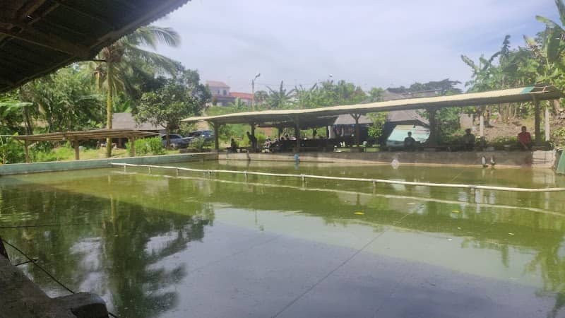 Pemancingan palpil - Image 1